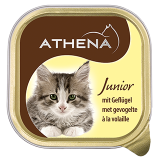 Picture for category Saturn pâtés for cats