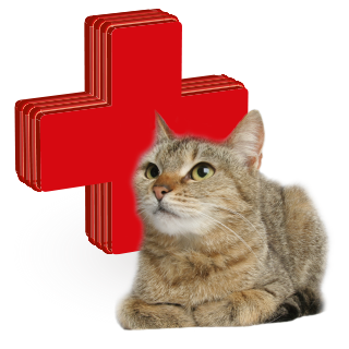 Picture for category vitamins, medicines for cats