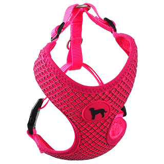 Picture for category Activ Dog Mellow harnesses