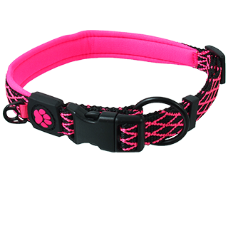Picture for category Activ Dog Mystic collars